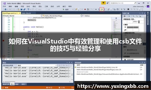 如何在VisualStudio中有效管理和使用csb文件的技巧与经验分享